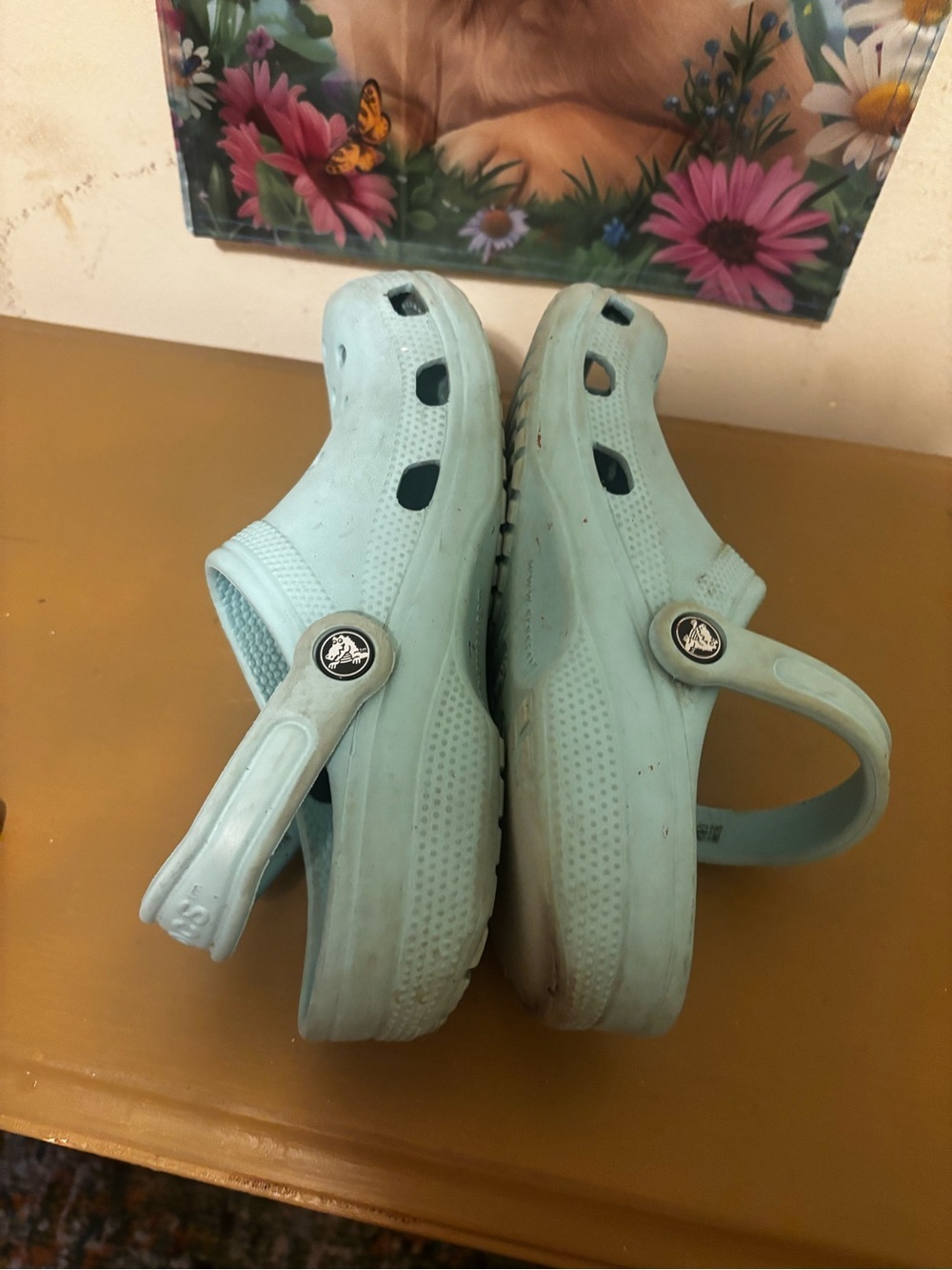 CROCS Light Blue Classic Clog 5/7 - Picture 5 of 7